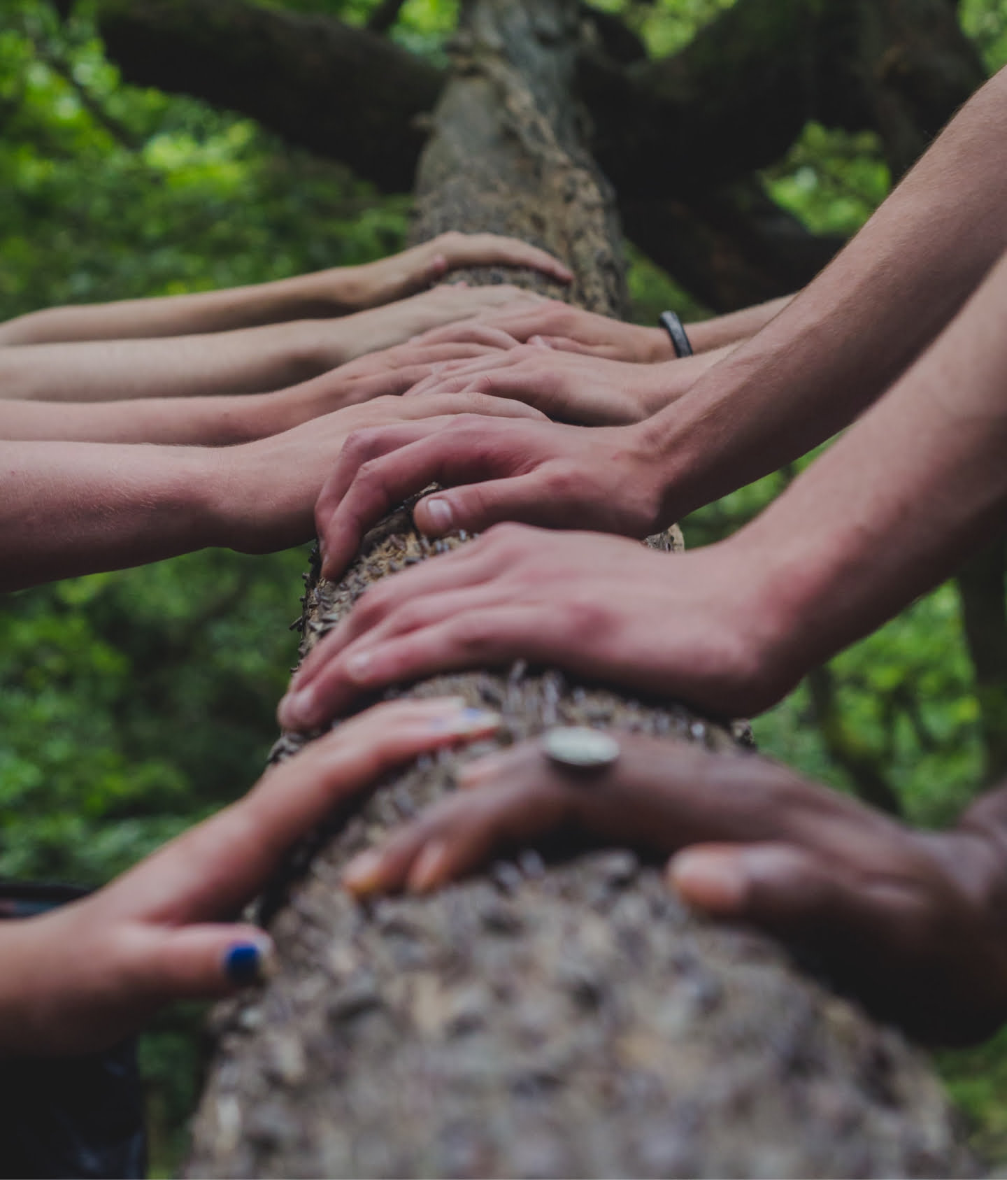 support group, hands, tree