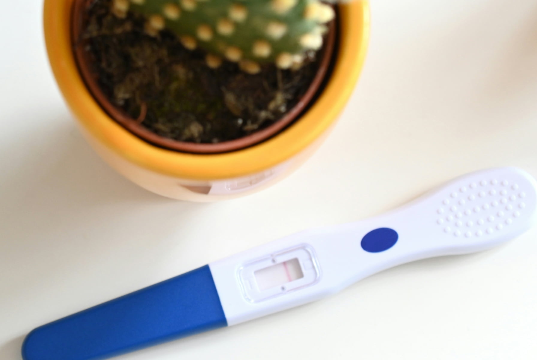 fertility test laid out on table, negative result